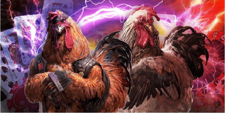 A brief introduction to the Cockfighting betting lobby